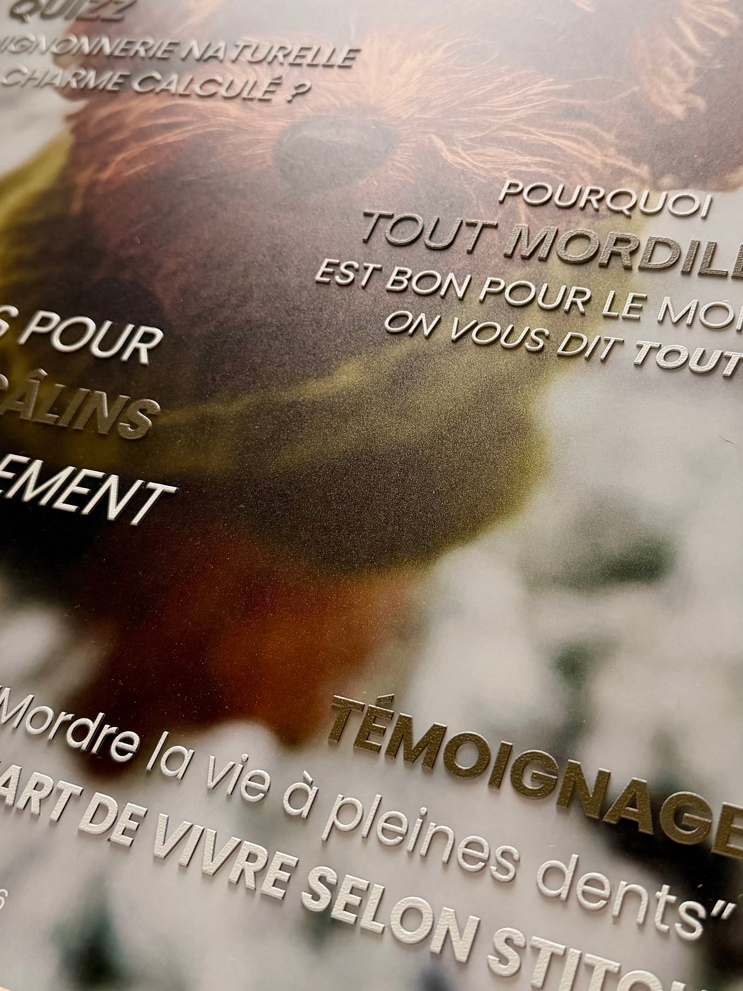 Plaque Aluminium Personnalisée 35x50cm – Votre Animal fait la Une des magazines