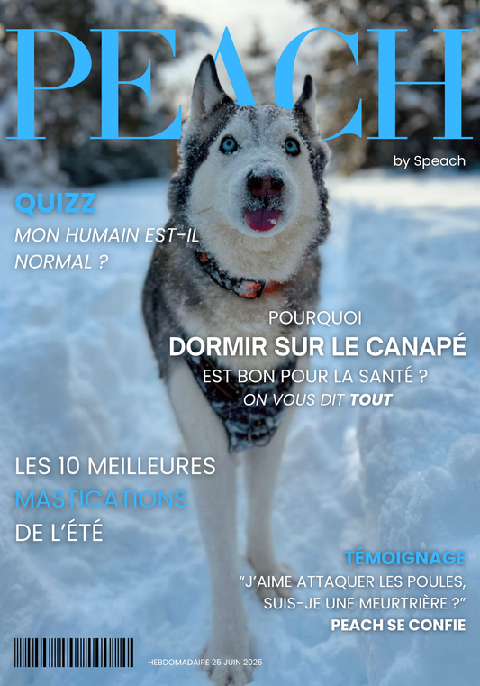 Plaque Aluminium Personnalisée 35x50cm – Votre Animal fait la Une des magazines